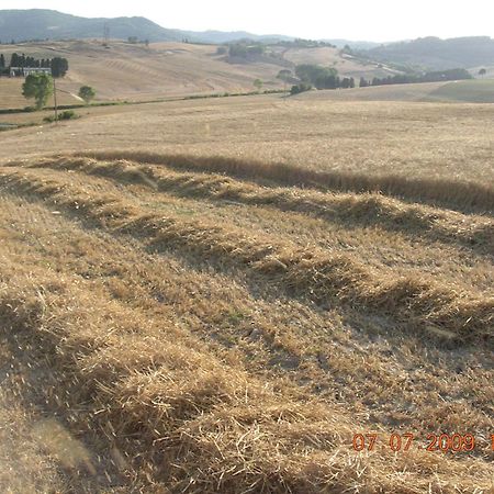 Agriturismo Cappellese Castelnuovo della Misericordia Dış mekan fotoğraf
