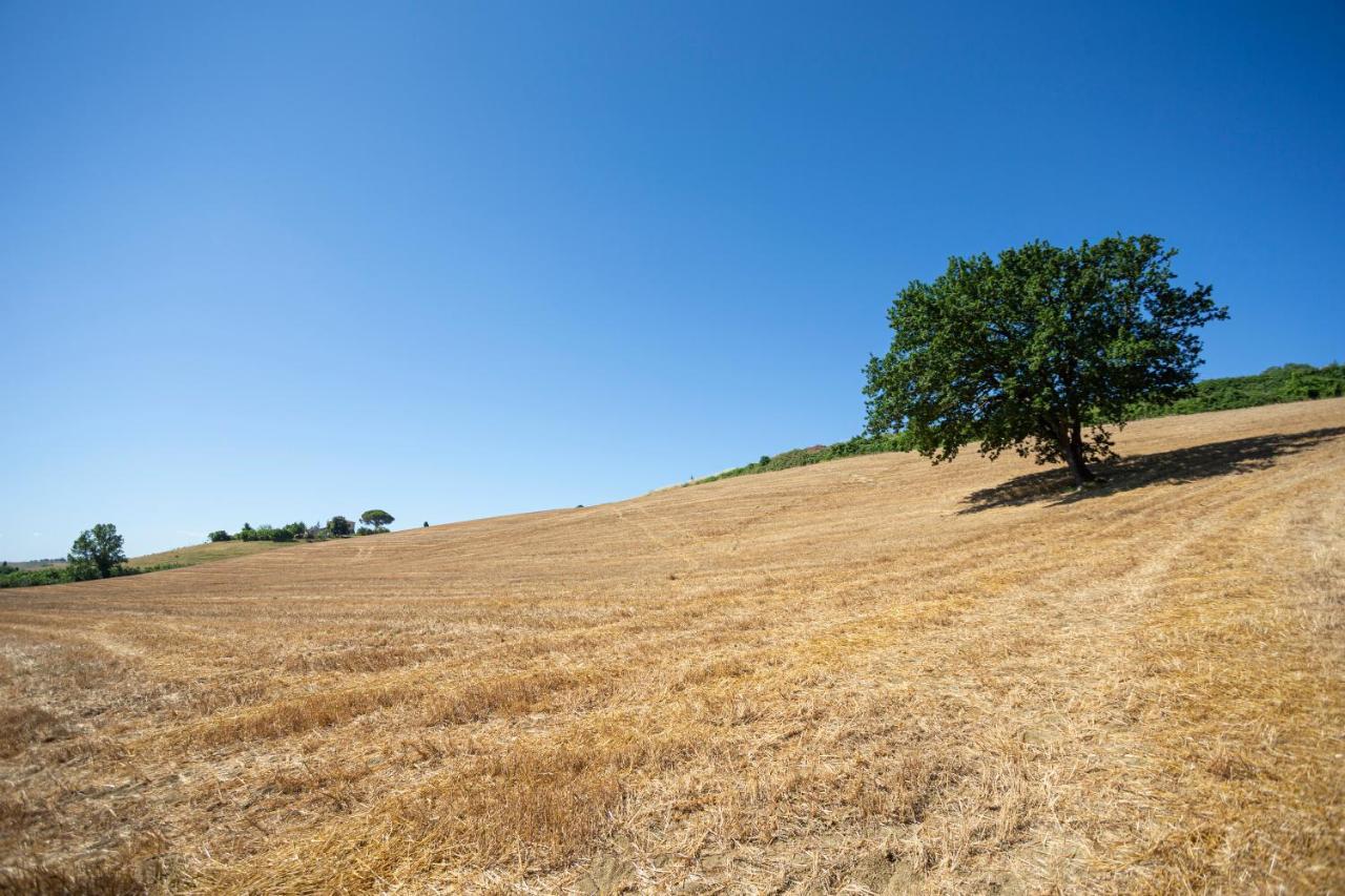 Agriturismo Cappellese Castelnuovo della Misericordia Dış mekan fotoğraf