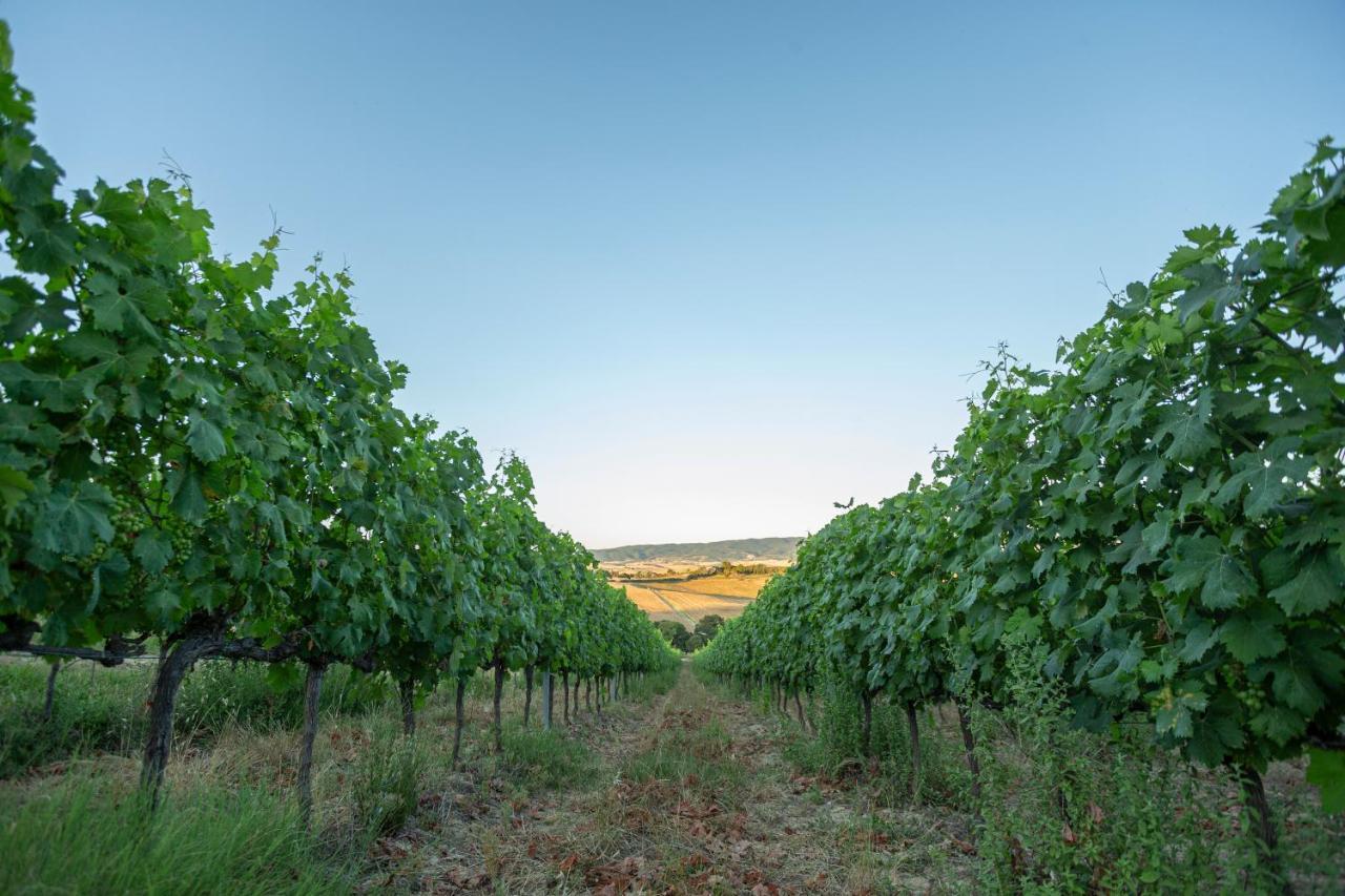 Agriturismo Cappellese Castelnuovo della Misericordia Dış mekan fotoğraf