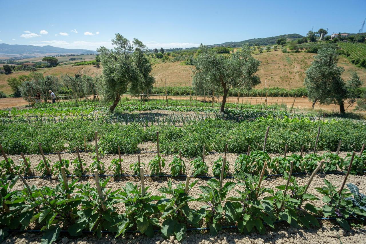 Agriturismo Cappellese Castelnuovo della Misericordia Dış mekan fotoğraf