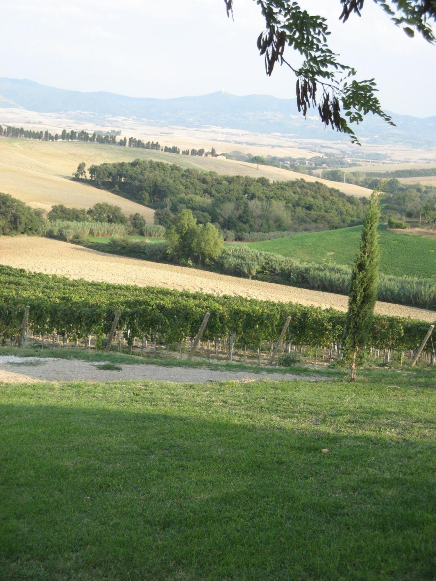 Agriturismo Cappellese Castelnuovo della Misericordia Dış mekan fotoğraf